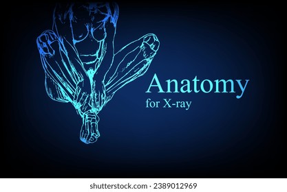 Human anatomy in front on x ray view. Anatomy human body connection, Medical, educational or science banner on futuristic blue background, Vector hand drawn illustration