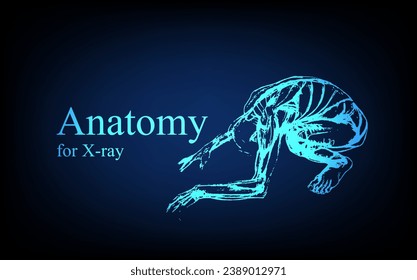 Human anatomy in front on x ray view. Anatomy human body connection, Medical, educational or science banner on futuristic blue background, Vector hand drawn illustration