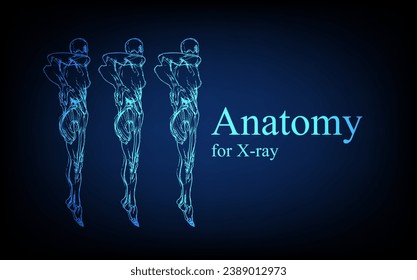 Human anatomy in front on x ray view. Anatomy human body connection, Medical, educational or science banner on futuristic blue background, Vector hand drawn illustration