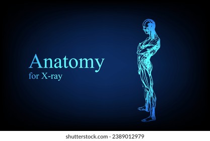 Human anatomy in front on x ray view. Anatomy human body connection, Medical, educational or science banner on futuristic blue background, Vector hand drawn illustration