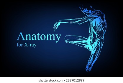 Anatomía humana delante en rayos X. Anatomía de la conexión corporal humana, Banner médico, educativo o científico sobre fondo azul futurista, ilustración dibujada a mano vectorial