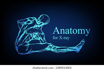 Human anatomy in front on x ray view. Anatomy human body connection, Medical, educational or science banner on futuristic blue background, Vector hand drawn illustration