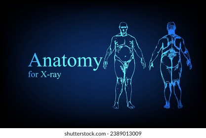 Human anatomy in front on x ray view. Anatomy human body connection, Medical, educational or science banner on futuristic blue background, Vector hand drawn illustration
