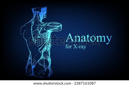 Human anatomy in front on x ray view. Anatomy human body connection, Medical, educational or science banner on futuristic blue background, Vector hand drawn illustration
