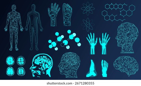 Holograma da anatomia humana e estruturas moleculares em arames digitais brilhantes. Conceito de medicina, pesquisa em saúde, biometria, diagnóstico futurista e ciência da IA.