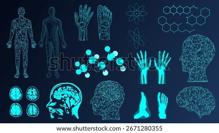 Human anatomy hologram and molecular structures in glowing digital wireframe. Concept of medicine, health research, biometrics, futuristic diagnostics, and AI science.