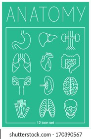 Human anatomy icon set