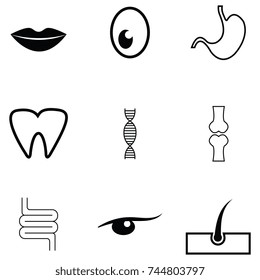 human anatomy icon set