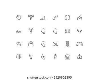 Human Anatomy icon set, design, vector illustration