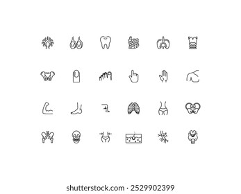 Conjunto de iconos de anatomía humana, diseño, Ilustración vectorial