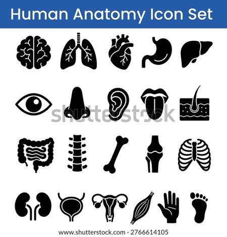 Human anatomy icon vector set