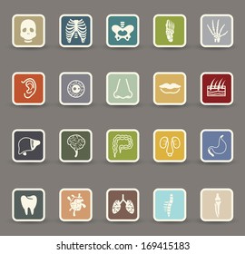 Human anatomy icons