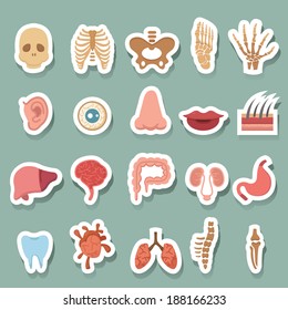 Human anatomy icons