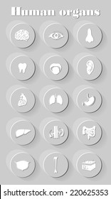 Human anatomy icons