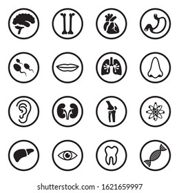 Human Anatomy Icons. Black Flat Design In Circle. Vector Illustration.