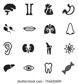 Human Anatomy Icons. Black Flat Design. Vector Illustration.