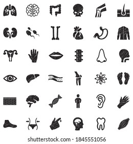 Human Anatomy Icons. Black Scribble Design. Vector Illustration.
