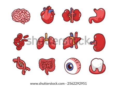 Human Anatomy Icons cartoon vector Illustration