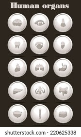 Human anatomy icons. Glossy icons set.