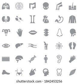 Human Anatomy Icons. Gray Flat Design. Vector Illustration.