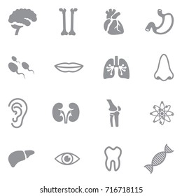 Human Anatomy Icons. Gray Flat Design. Vector Illustration.