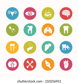  Iconos de anatomía humana configuran Circle Series - eps.10