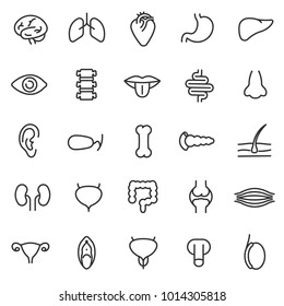 human anatomy icons set. internal organs, body parts linear style. Line with Editable stroke