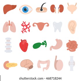 human anatomy icons set. internal organs, body parts collection. flat design