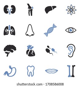 Human Anatomy Icons. Two Tone Flat Design. Vector Illustration.