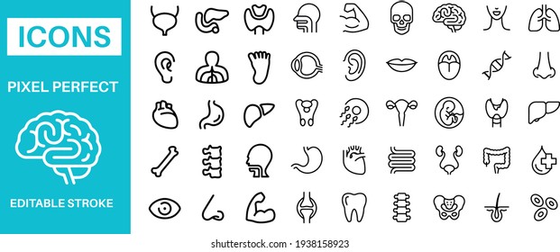 Human Anatomy Icons vector design   - Shutterstock ID 1938158923