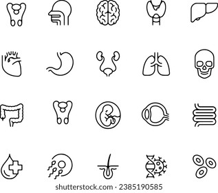 DISEÑO DE VECTOR DE ICONOS DE Anatomía Humana