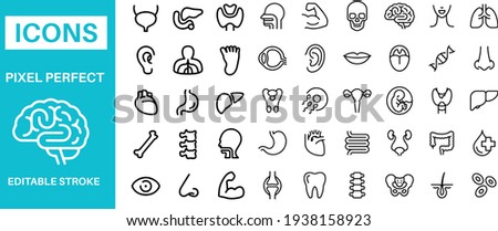 Human Anatomy Icons vector design  