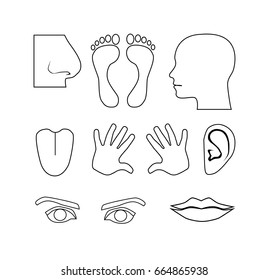 Human anatomy icons vector illustration