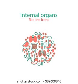 Human anatomy icons. Vector internal organs icon set. Vector Illustration.