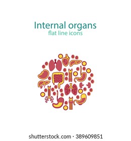 Human anatomy icons. Vector internal organs icon set. Vector Illustration.