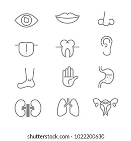 Human Anatomy icons with White Background