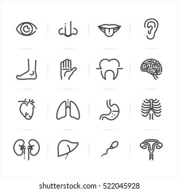 Human Anatomy Icons With White Background 