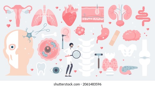 Human anatomy and isolated medical organs in tiny person collection set. Elements with inner parts from digestive or cardiovascular system vector illustration. Physiological body assets and resources.