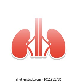 Human anatomy. Kidneys sign. Vector. Reddish icon with white and gray shadow on white background. Isolated.