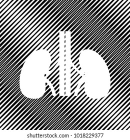 Human anatomy. Kidneys sign. Vector. Icon. Hole in moire background.
