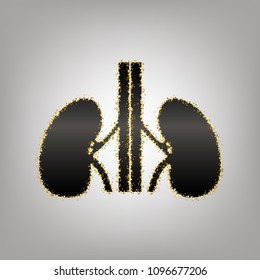 Human anatomy. Kidneys sign. Vector. Blackish icon with golden stars at grayish background.
