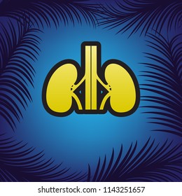Human anatomy. Kidneys sign. Vector. Golden icon with black contour at blue background with branches of palm trees.