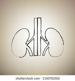 Human anatomy. Kidneys sign. Vector. Brush drawed black icon at light brown background.