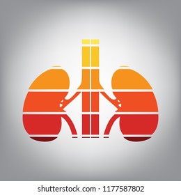 Human anatomy. Kidneys sign. Vector. Horizontally sliced icon with colors from sunny gradient in gray background.