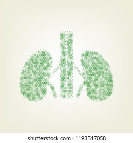 Human anatomy. Kidneys sign. Vector. Green hexagon rastered icon and noised opacity and size at light green background with central light.