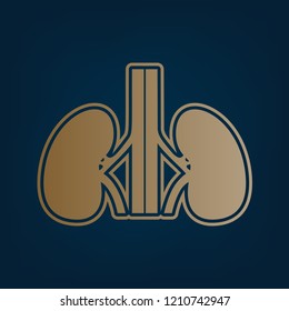 Human anatomy. Kidneys sign. Vector. Golden icon and border at dark cyan background.