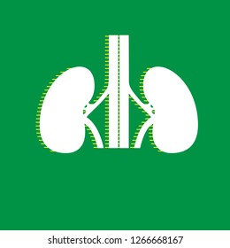 Human anatomy. Kidneys sign. Vector. White flat icon with yellow striped shadow at green background.