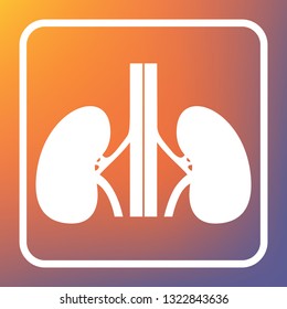 Human anatomy. Kidneys sign. Vector. White icon on transparent button at orange-violet gradient background.