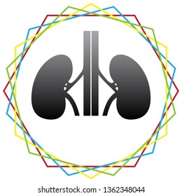 Human anatomy. Kidneys sign. Vector. Black icon with patch of light inside colorful hexagonal frames at white background.