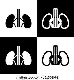 Human anatomy. Kidneys sign. Vector. Black and white icons and line icon on chess board.